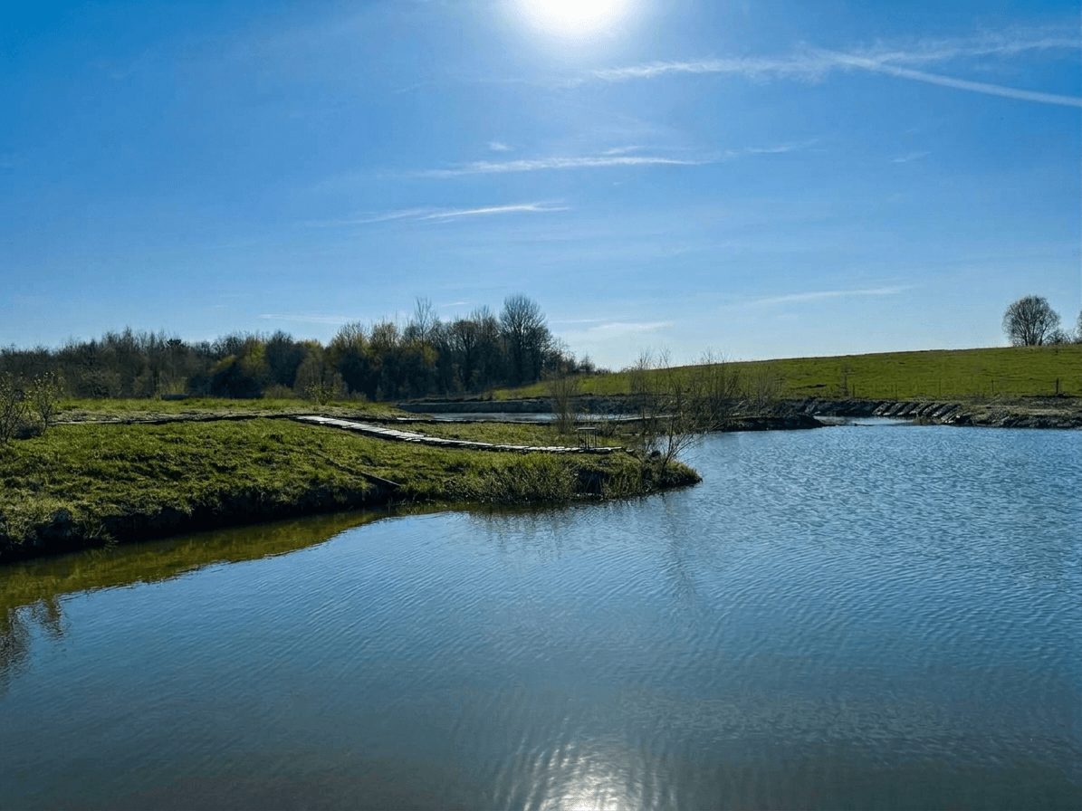 Озеро и лес