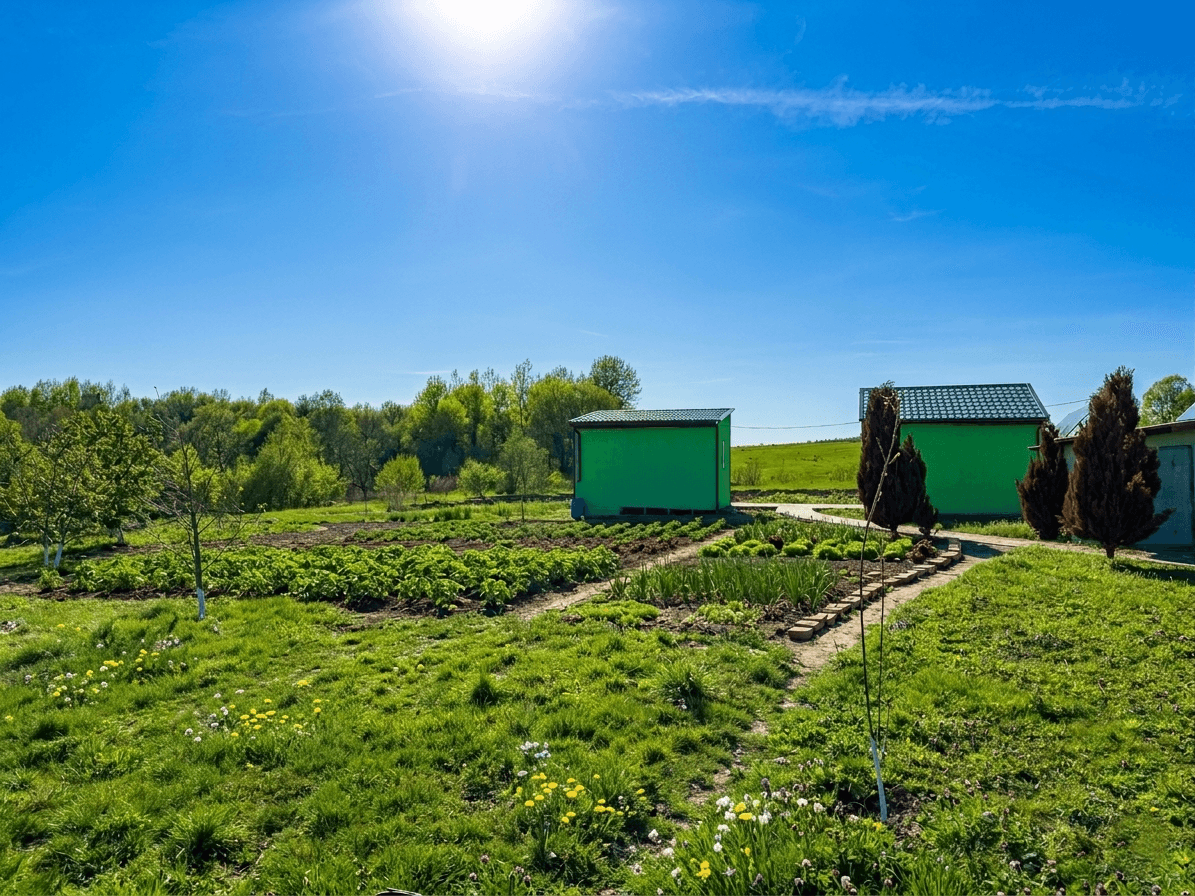 Тропа в лесу